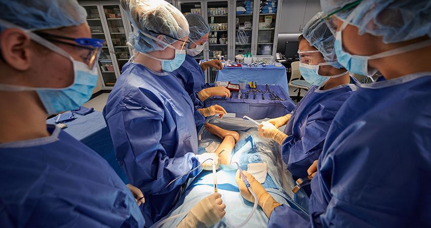 Students practice surgical care with real tools and equipment.