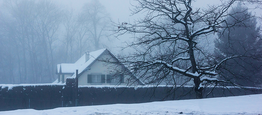 Snow covered house and tree