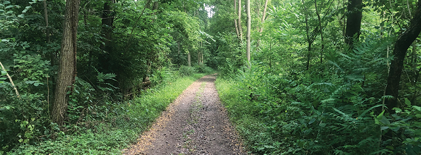 The proposed Hanna City Trail would be a vital link in creating a regional trail system, mimicking the massive success of the Rock Island Trail. Photo by Michael Bruner