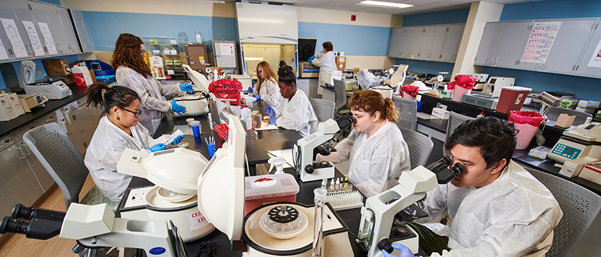 Students in the ICC Medical Laboratory Technician program learn how to perform common tests done in a medical laboratory.