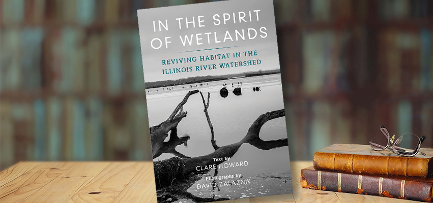 In The Spirit Of Wetlands Cover