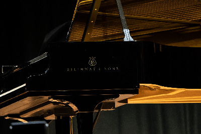 Steinway & Sons Model D Concert Grand 