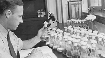 Microbiologist Andrew Moyer led the Ag Lab’s penicillin team.