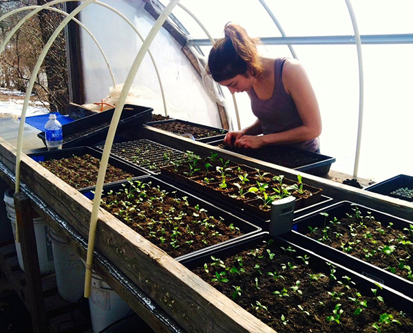 Seeding in the Green House