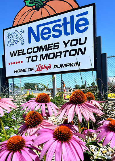 Nestle Welcome sign with purple flowers at its base.