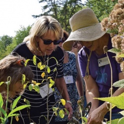 U of I Horticulture