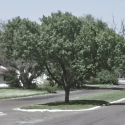 The last remaining portion of Woodruff Boulevard, shown here in 2014, was removed with the enlargement of the Peoria High School athletic facilities in 2015.