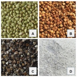types of buckwheat