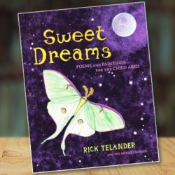 Book Cover for Sweet Dreams’ by Rick Telander