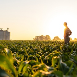 Farmer silhouetted in Field