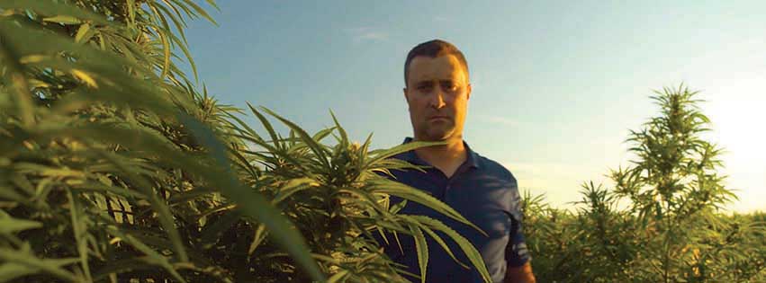 Hemp farmer Jason Jones of Graymont, Illinois