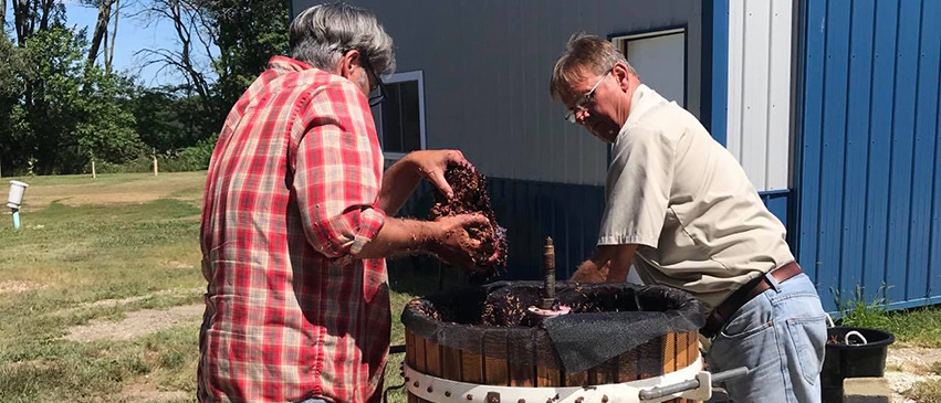 Bradley Beam, left, of Spoon River Junction in Canton and Doug Abbott of Mockingbird Vineyards in Spring Lake press St. Croix grapes from the 2020 harvest. Photography by Lisa Brown