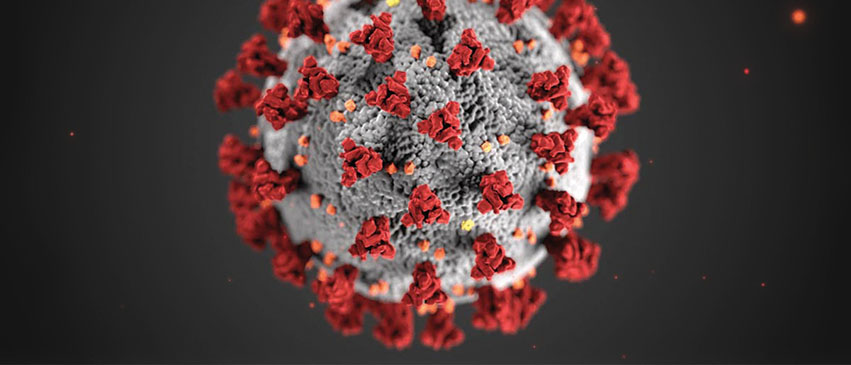 This illustration shows the structure of coronaviruses with their characteristic spikes on the surface. Courtesy of CDC/Alissa Eckert, MSMI; Dan Higgins, MAMS