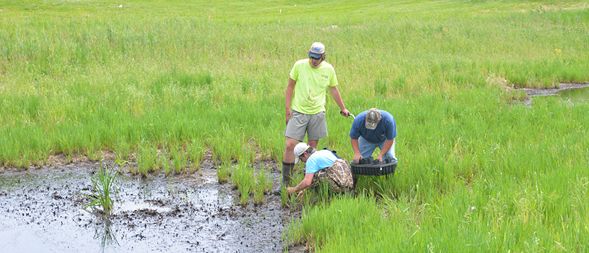 Students taking pond samples