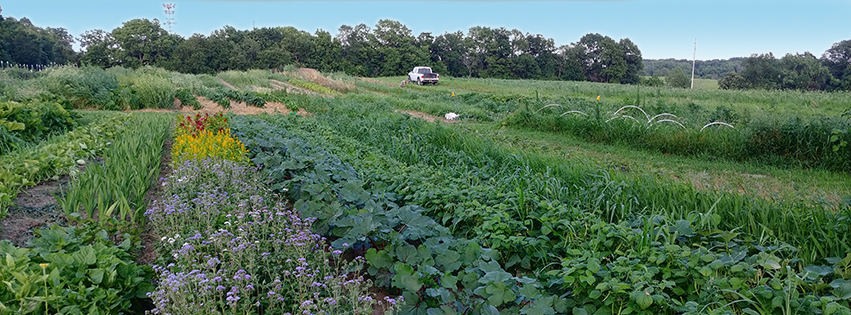 Down River Farm