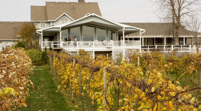 Mackinaw Valley Vineyard