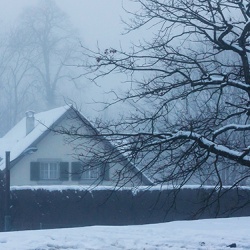 Snow covered house and tree