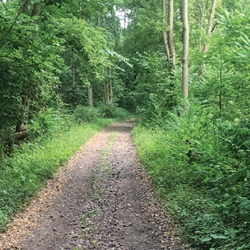 The proposed Hanna City Trail would be a vital link in creating a regional trail system, mimicking the massive success of the Rock Island Trail. Photo by Michael Bruner