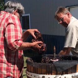 Bradley Beam, left, of Spoon River Junction in Canton and Doug Abbott of Mockingbird Vineyards in Spring Lake press St. Croix grapes from the 2020 harvest. Photography by Lisa Brown