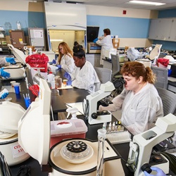 Students in the ICC Medical Laboratory Technician program learn how to perform common tests done in a medical laboratory.