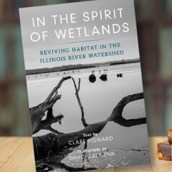 In The Spirit Of Wetlands Cover