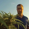 Hemp farmer Jason Jones of Graymont, Illinois